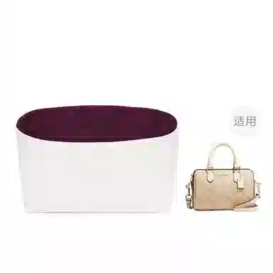FANJI Coachmini