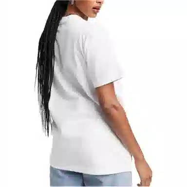 Dickies LogoT