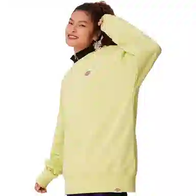 Dickies Logo