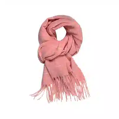 BAGGL