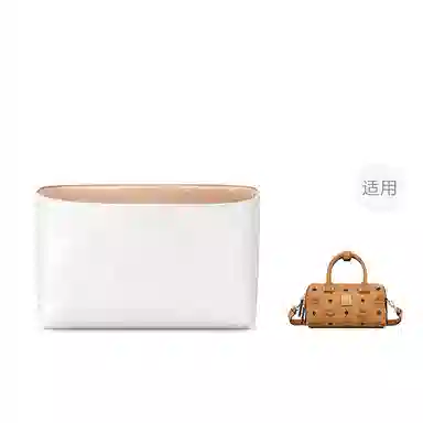 FANJI MCMmini