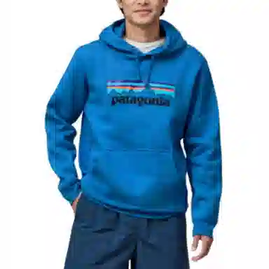 patagonia SS22 Logo