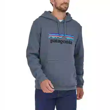 patagonia SS22 Logo