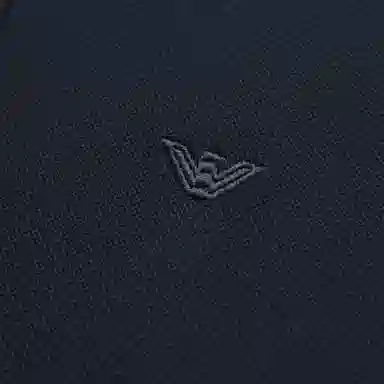 EMPORIO ARMANI SS24 LogoPolo