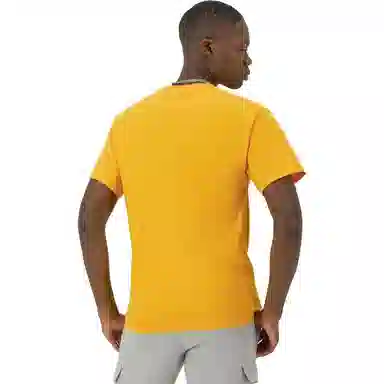 Champion T 2