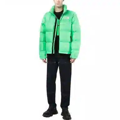 The North Face 1996 Series 700 Down Jacket Green