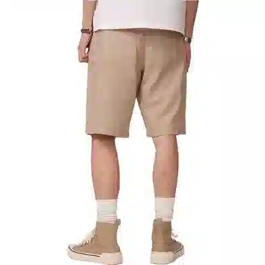 Dickies Shorts