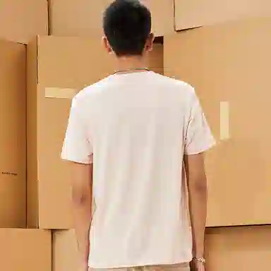 Dickies logoT