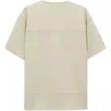 ZARA T