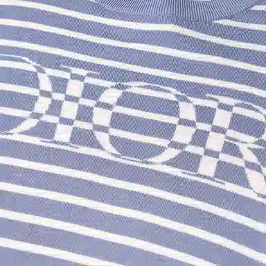 Dior SS21 Striped Logo T-Shirt Blue