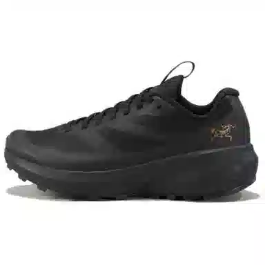 Arcteryx Norvan LD 3 Gtx