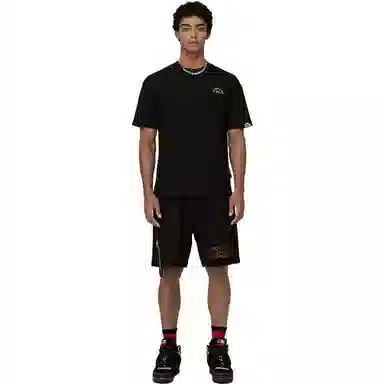 Powolves T