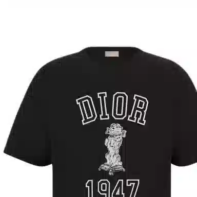 DIOR T