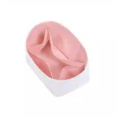 FANJI Lv Backup