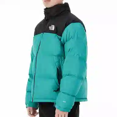 THE NORTH FACE 1996 Retro Nuptse 700