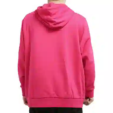 adidas originals Wntrzd Hoodle