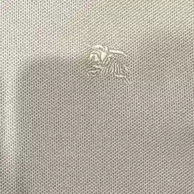 Burberry Polo Brown