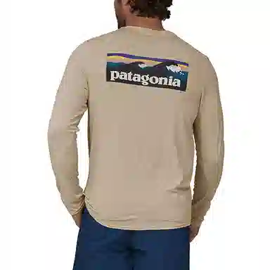 patagonia T