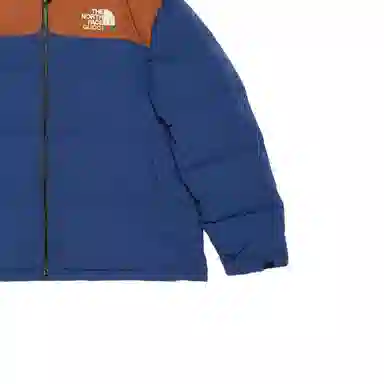 GUCCI x THE NORTH FACE FW22 Logo