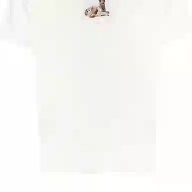 Burberry T