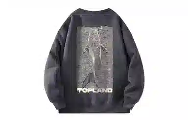 Topland Logo