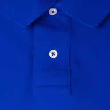 Polo Ralph Lauren LogoPolo