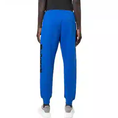 Alexander McQueen FW22 Logo