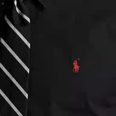 Polo Ralph Lauren FW23 Logo