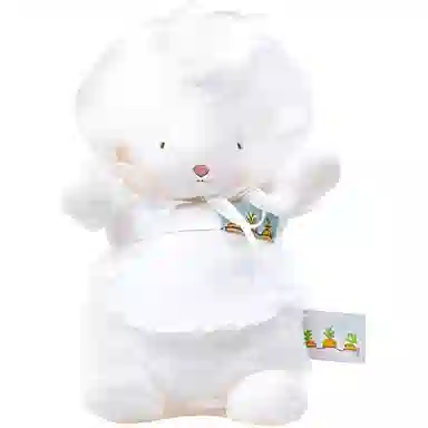 17cm