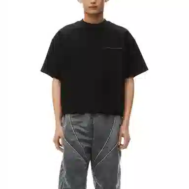 alexander wang FW24 T