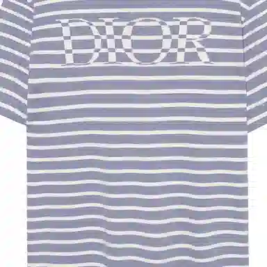 Dior SS21 Striped Logo T-Shirt Blue