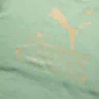 PUMA LogoT