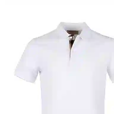 Burberry LogoPolo