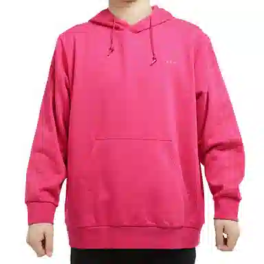 adidas originals Wntrzd Hoodle