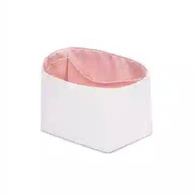 FANJI Lv Backup