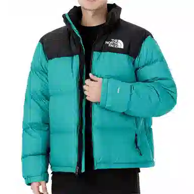 THE NORTH FACE 1996 Retro Nuptse 700
