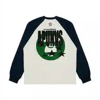 Aape T