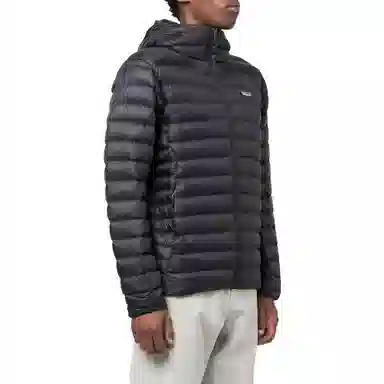 patagonia Down Sweater Logo