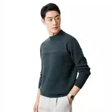 恒源祥 半高领花版纯色纯羊毛针织毛衣 男款