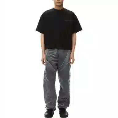 alexander wang FW24 T