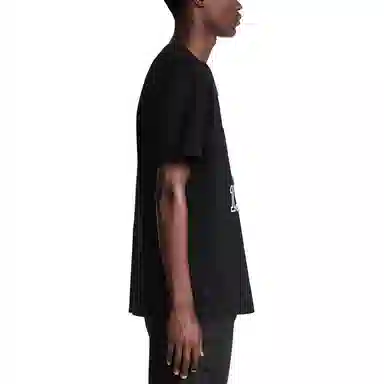 DIOR T