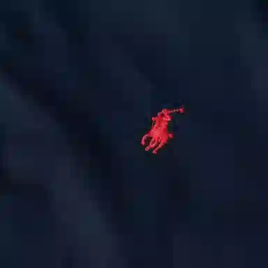 Polo Ralph Lauren FW21 logo