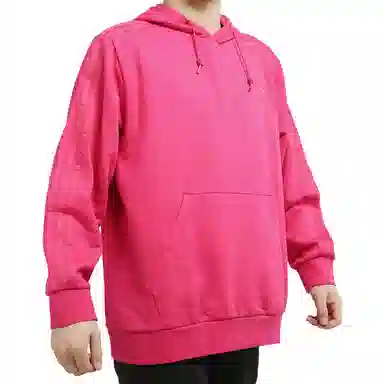 adidas originals Wntrzd Hoodle