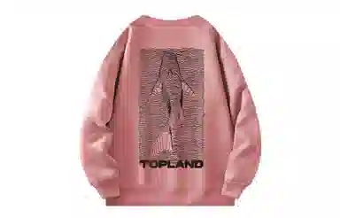 Topland Logo
