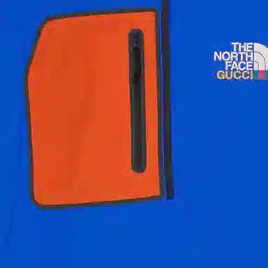 Gucci x The North Face SS22 Hoodie