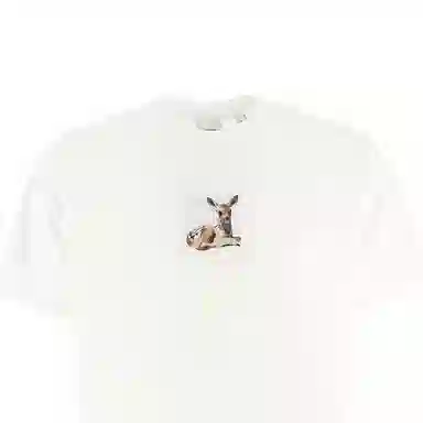 Burberry T