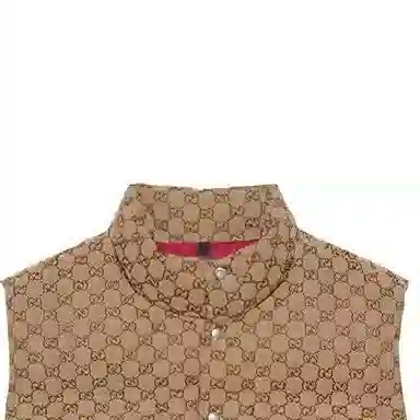 GUCCI x THE NORTH FACE GUCCI x THE NORTH FACE Logo