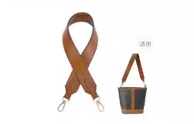 CELINE Triomphe Brown