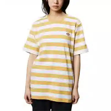 Dickies logoT