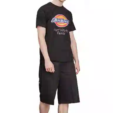 Dickies LogoT